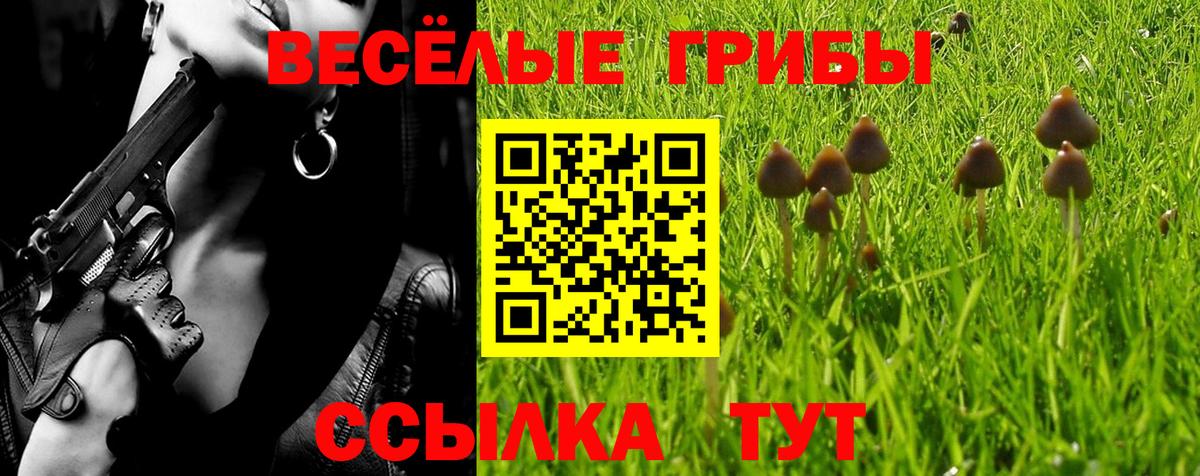 Галлюциногенные грибы Psilocybe Ростов-на-Дону
