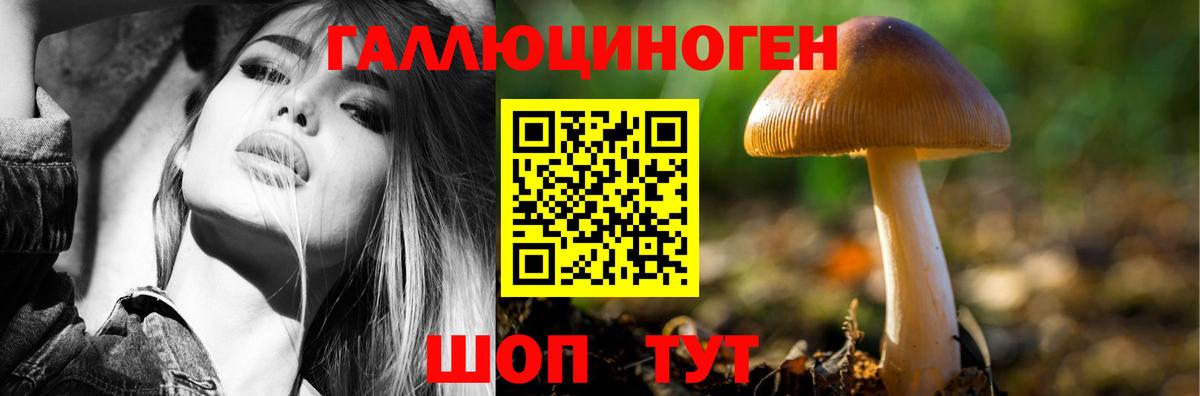 Ростов-на-Дону  Галлюциногенные грибы Cubensis  Псилоцибиновые грибы GOLDEN TEACHER  Вход с VPN 